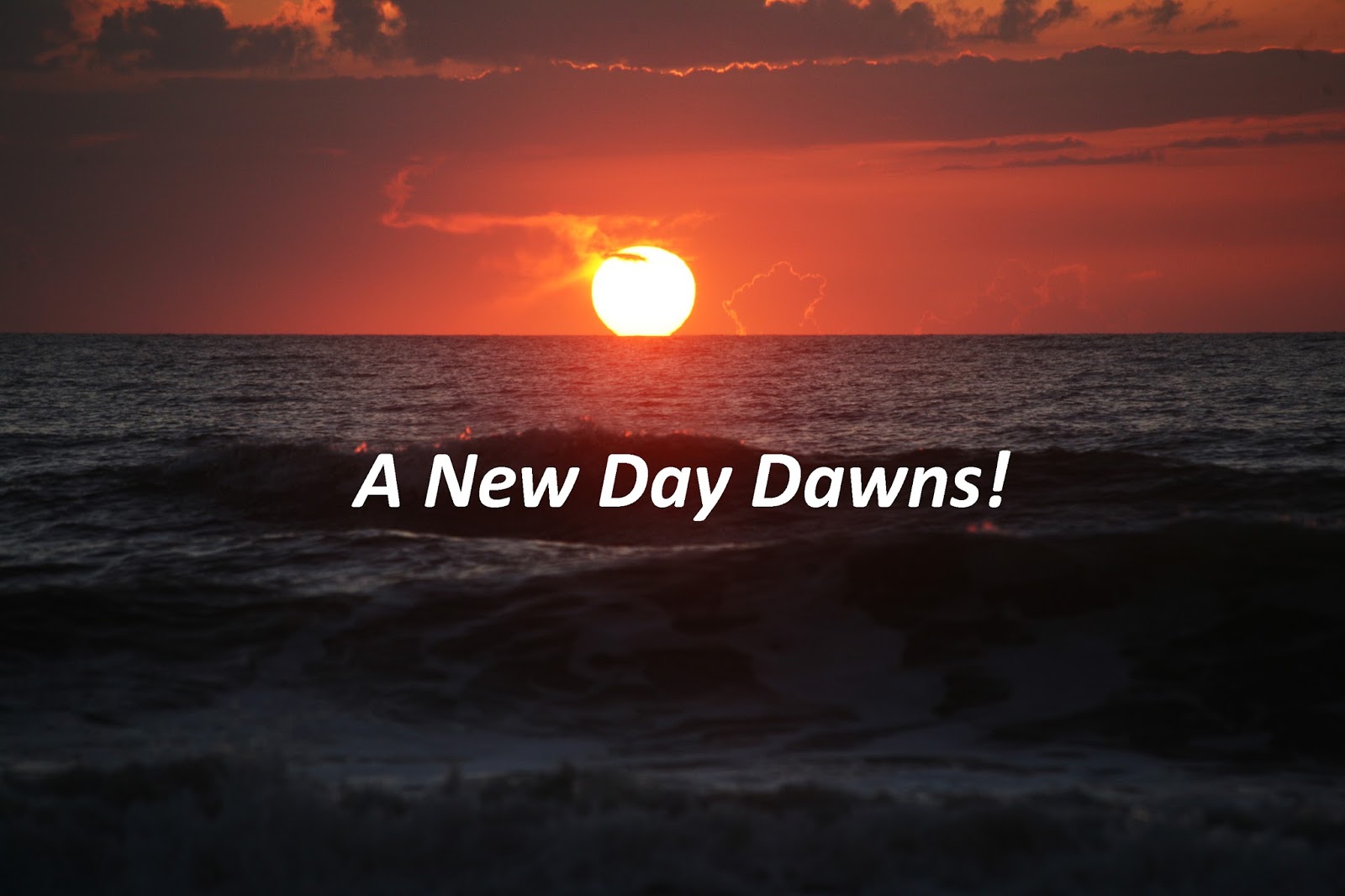 Live Life A New Day!