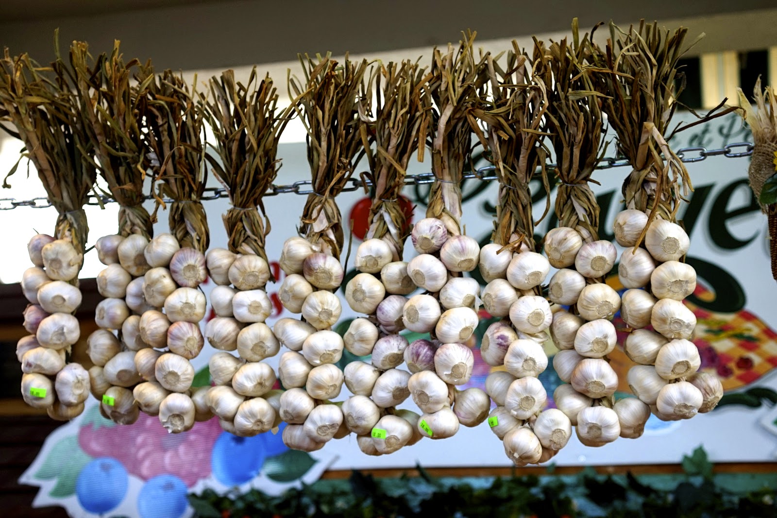 garlic jean talon market
