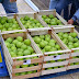 Μοιράζονται από το πρωί οι 20 τόνοι φρούτων στο Πολυκοινωνικό του Δήμου Αλεξανδρούπολης