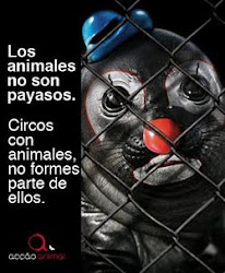 No a los Circos con Animales
