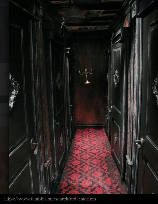 Renée Finberg ' TELLS ALL ' in her blog of her Adventures in Design