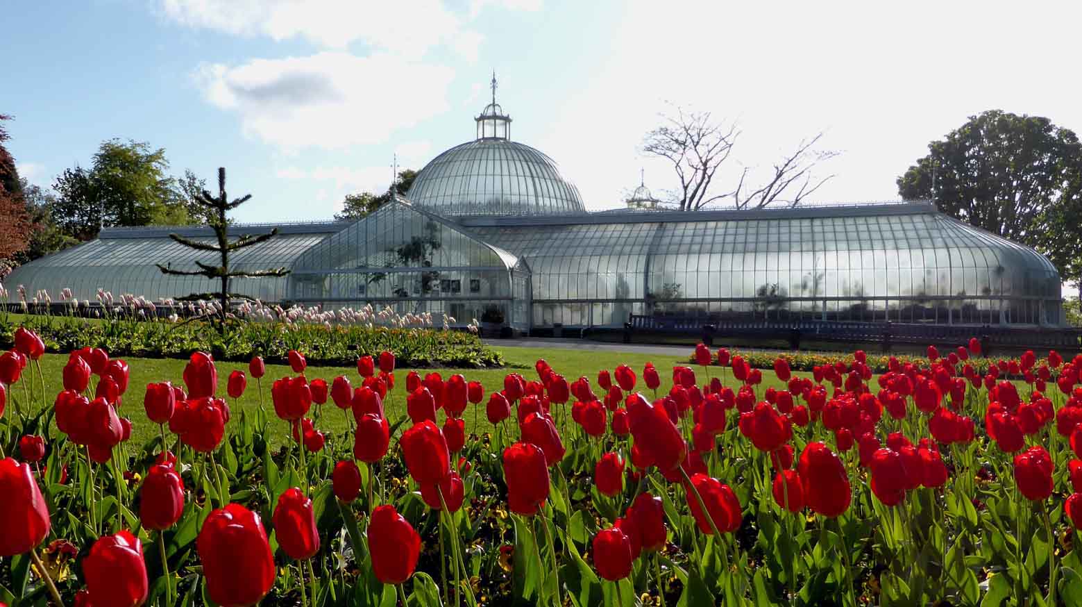 Alex and Bob`s Blue Sky Scotland Glasgow's Botanic Gardens and Spring