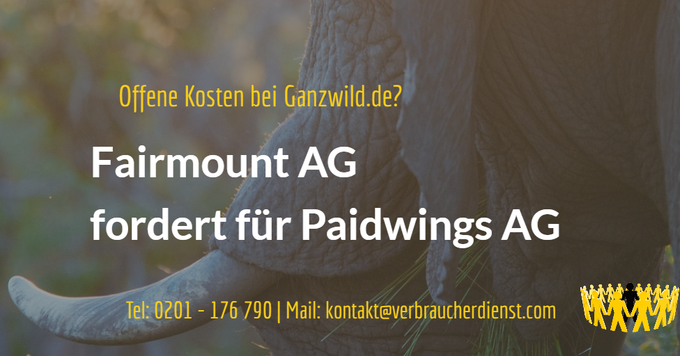 Paidwings erfahrungen