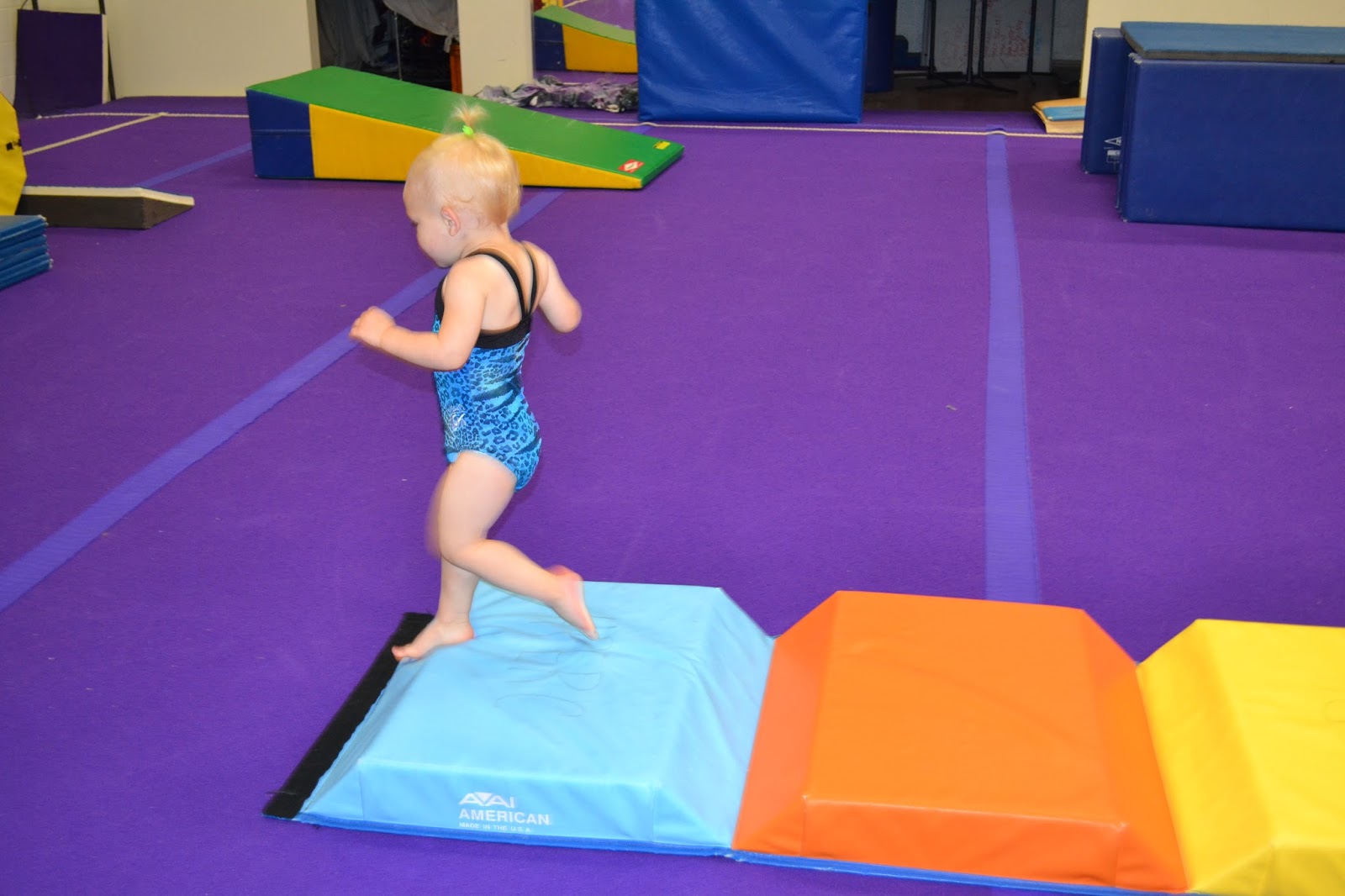 Sophia Grace & Co.: We Love Gymnastics