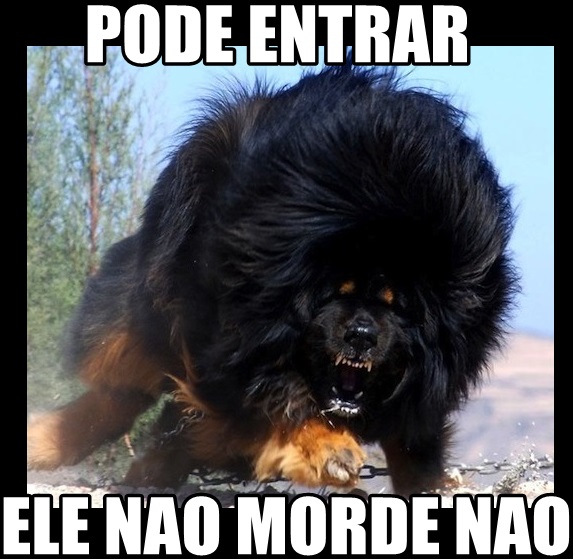 fotos memes engraÇados para comentario facebook & whatsapp humor dog fotos memes engraÇados para comentario facebook & whatsapp humor,Memes De Cachorro