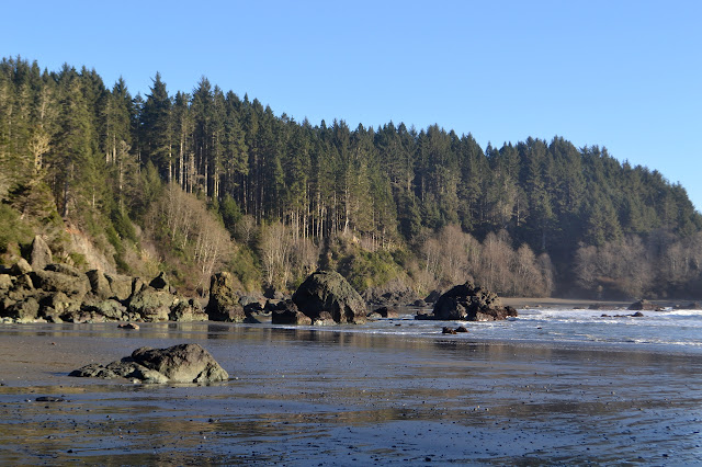 tall trees dominating the cliffs