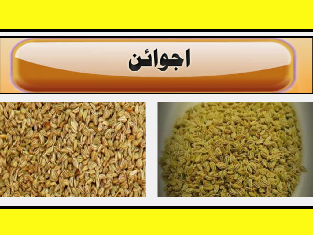 Heath Benefits of Carom Seeds Ajwain In Urdu And Hindi Tips Must Watch