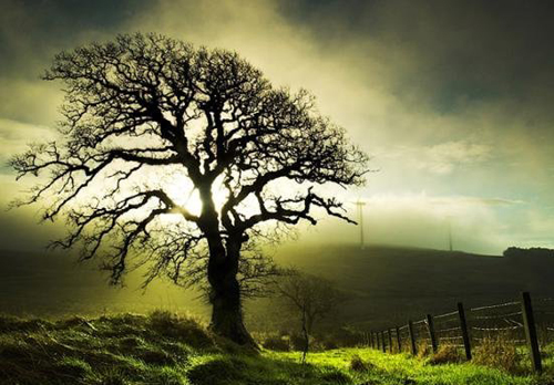 [Image: du-lich-scotland-12.jpg]