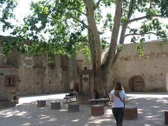 Inner courtyard od Burg Eltville