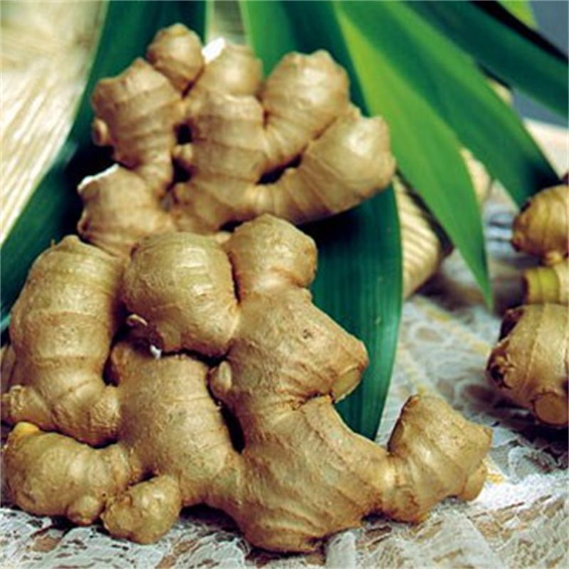 passionately-raw-health-benefits-of-ginger