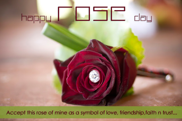 Best HD Images Of Rose Day 2018
