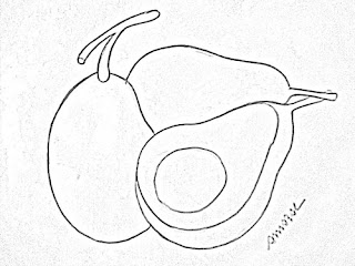 desenho de abacates