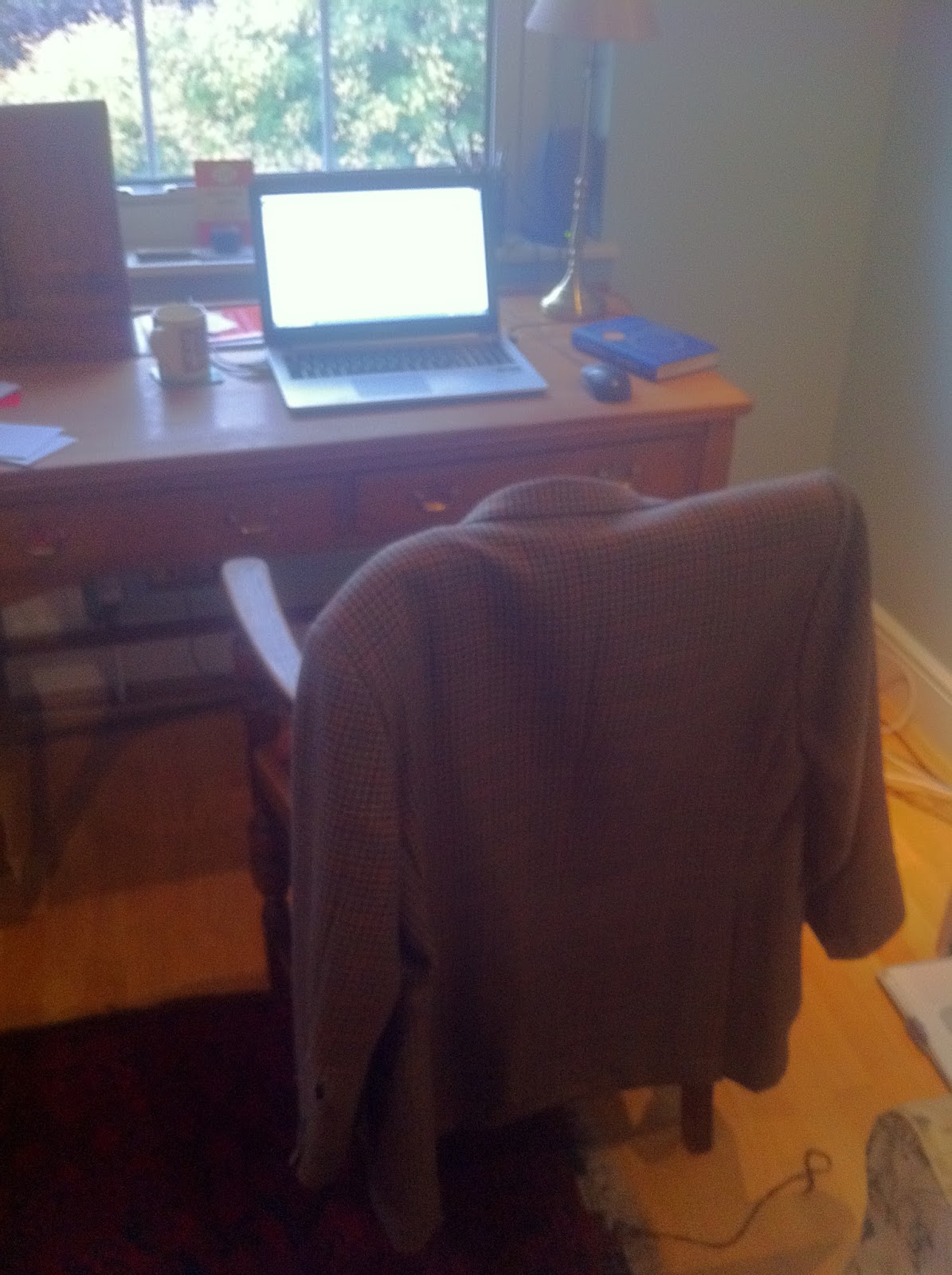 jacket owl chair