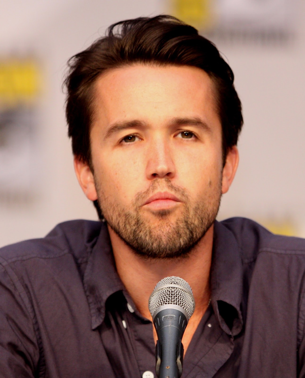 Rob Mcelhenney Imdb - oliks6e