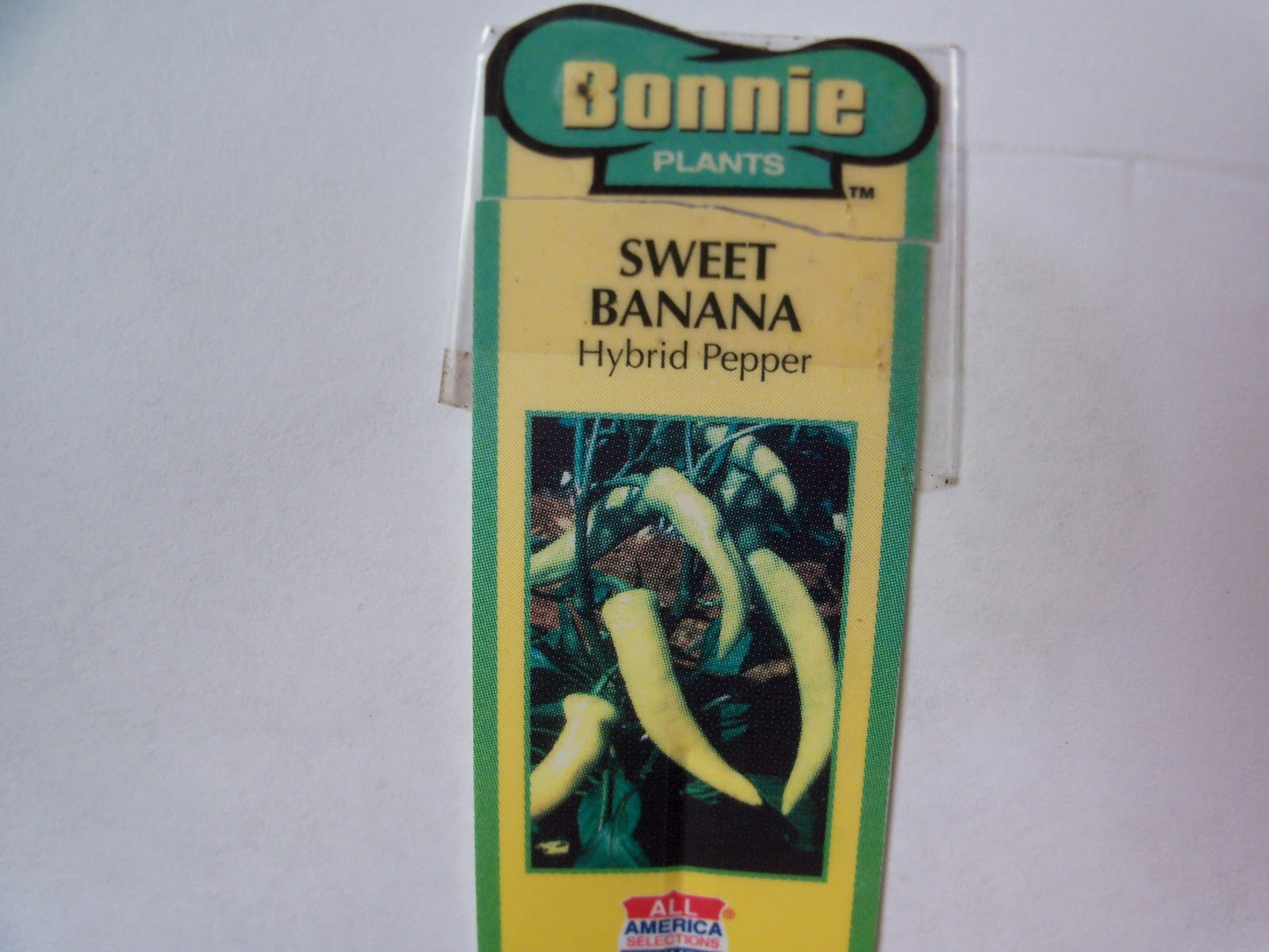 Pepper Sweet Banana ( How To Grow ) Garden The Easy Way