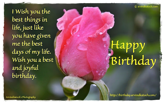 Pink ROse, Birthday Card, Birthday WIsh, Best Things, Life, 