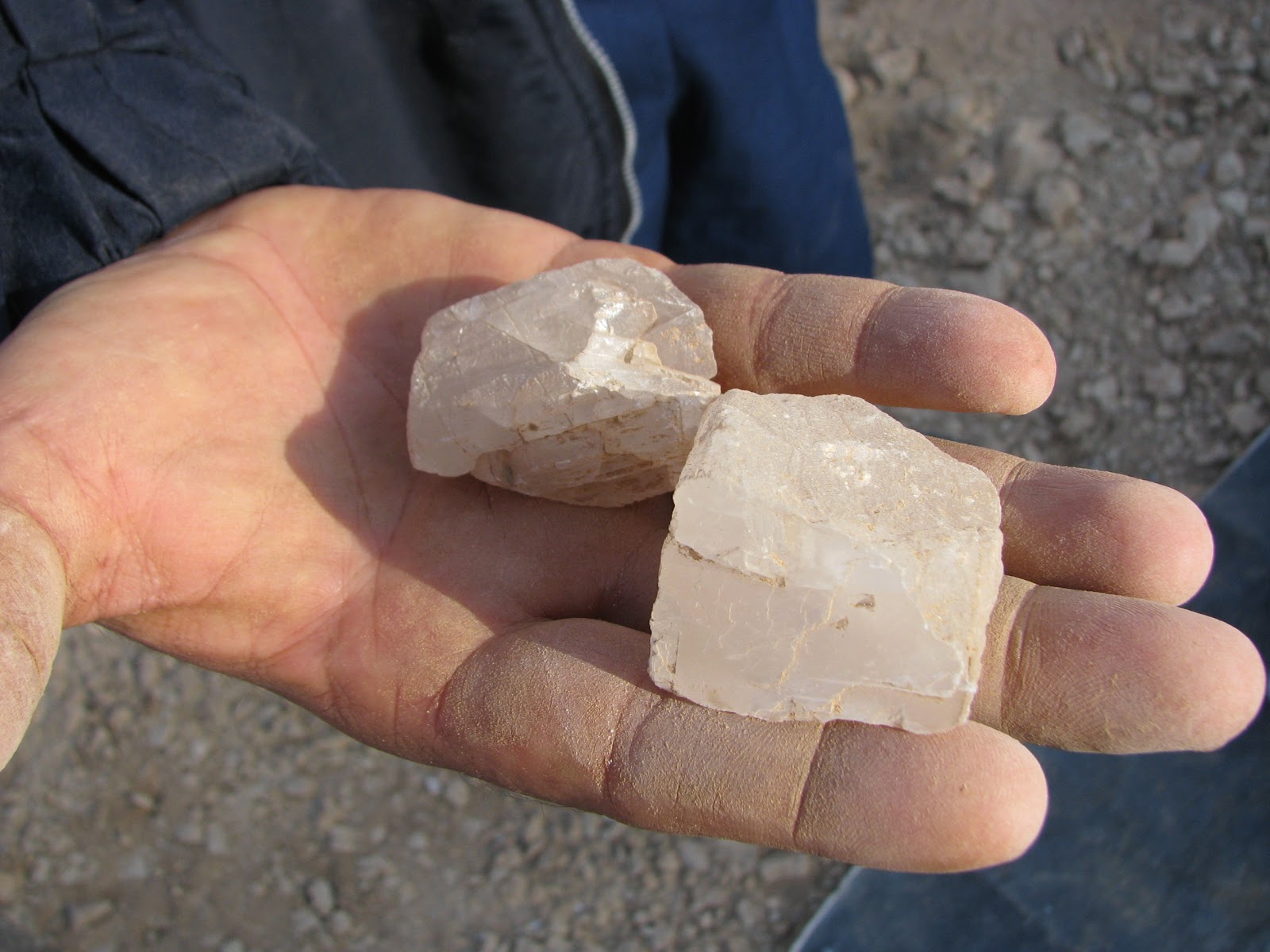 A year in the desert November 2012