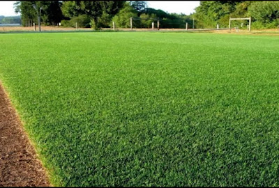 https://www.tianggadha.com/ tukang taman surabaya. tukang taman sidoarjo. tukang taman gresik. tukang taman lamongan. tukang taman jakarta. spesialis tukang taman, pemborong taman surabaya, kontraktor taman surabaya, arsitek taman surabaya, jasa taman rumah, tuang taman, desain taman surabaya.