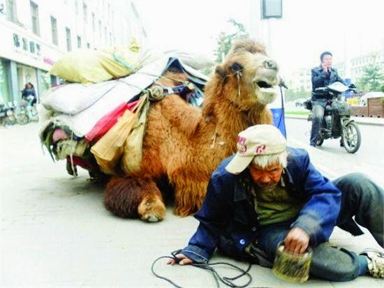 أبشع وسيلة للتسول