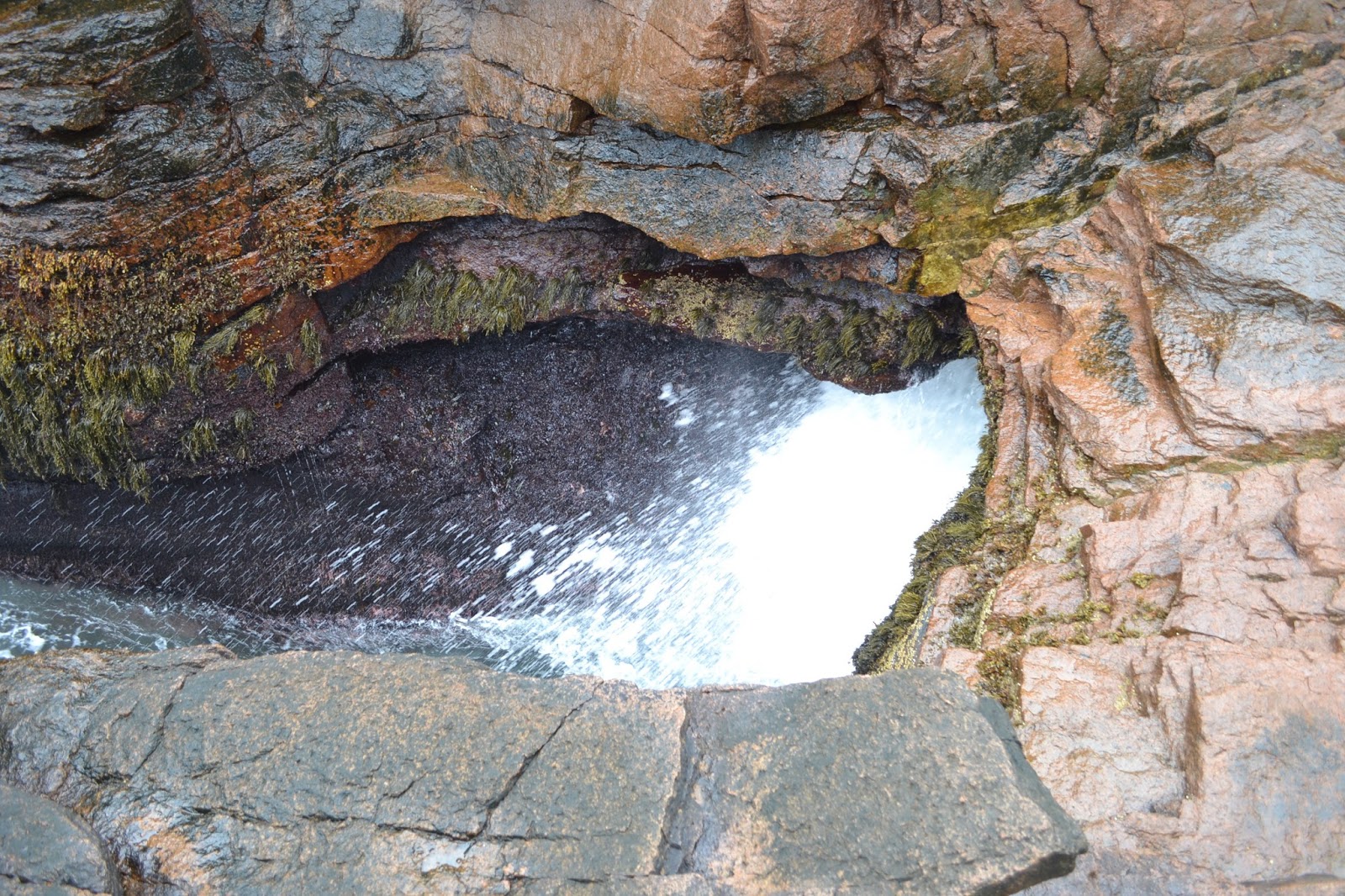 DSC_0129.jpg