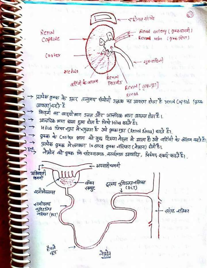 General Science Question Paper Pdf
