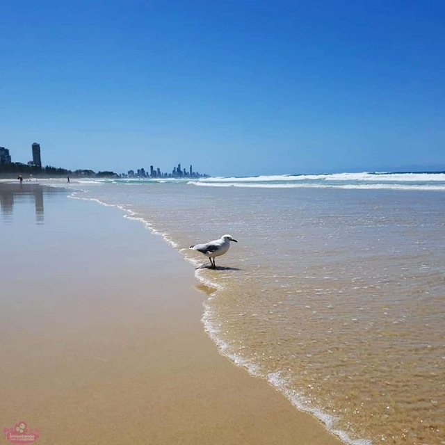 Melhores praias de Gold Coast, na Austrália