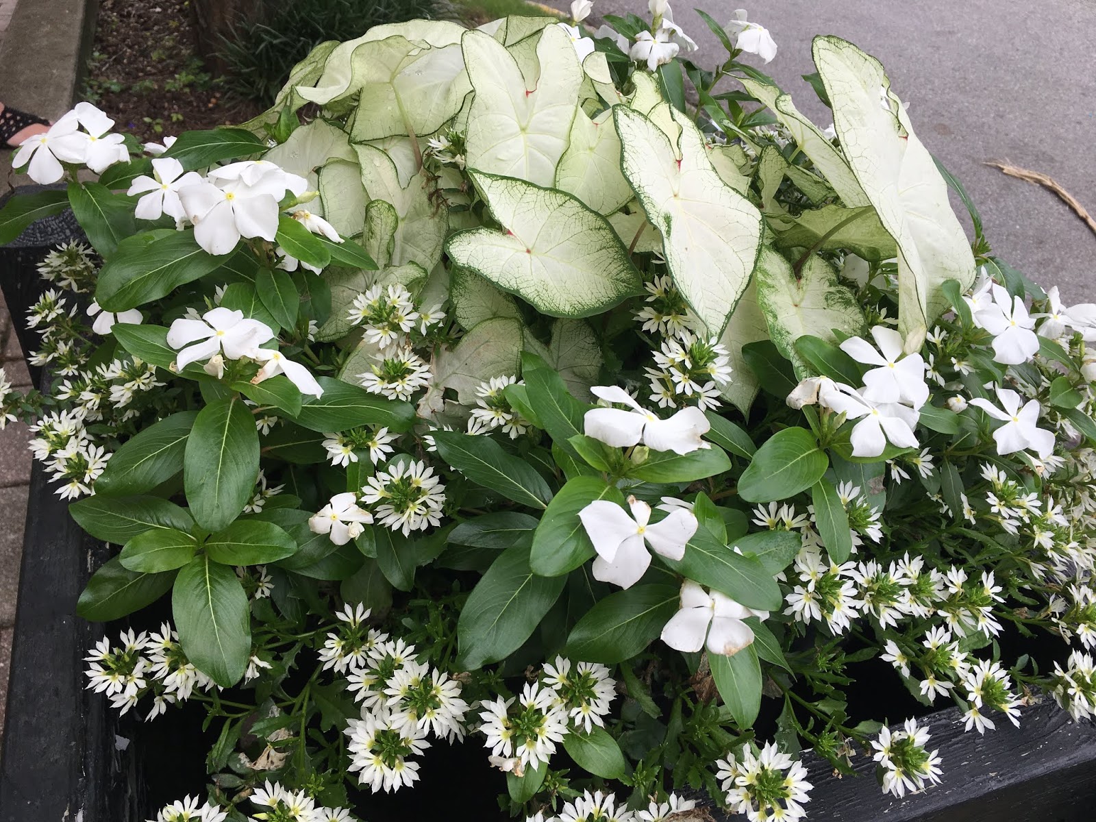 Garden Containers in Madison,