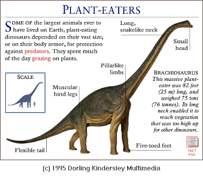 names of dinosaurs that lived in water