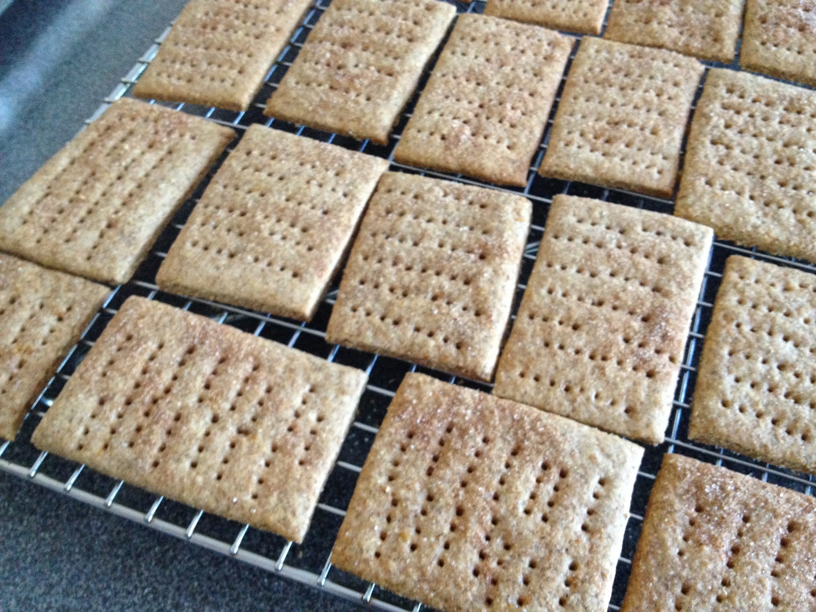 Madison Dinner Club Homemade Graham Crackers & Marshmallows July 7, 2012