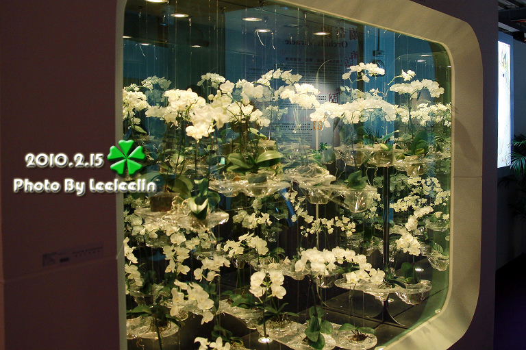 台南後壁景點|台灣蘭花生物科技園區|東南亞最大蘭花探索世界