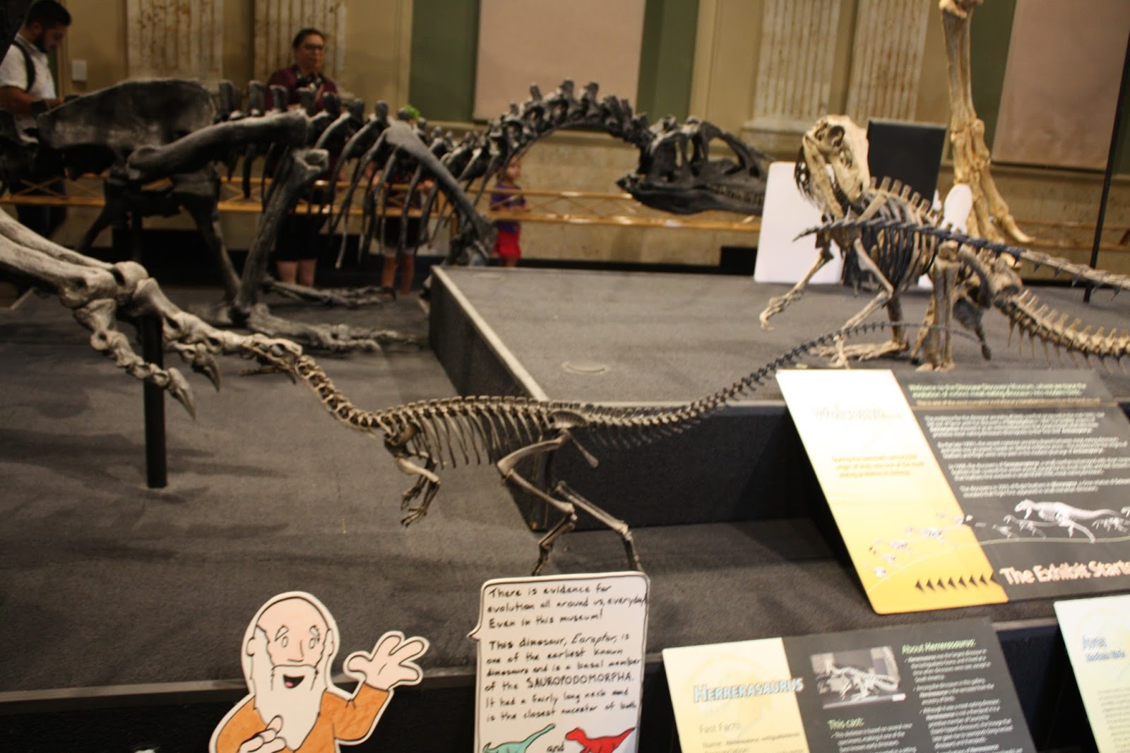 A Little Time and a Keyboard Dinosaur Discovery Museum in Kenosha