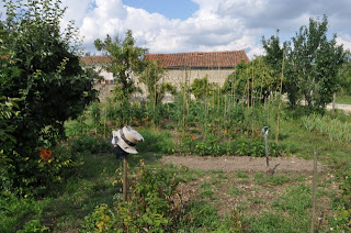 French Village Diaries Silent Sunday photos potager gardening