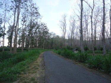 jalanan