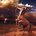 Οι παρεξηγημένοι Τοξότες ♐ Sagittarius