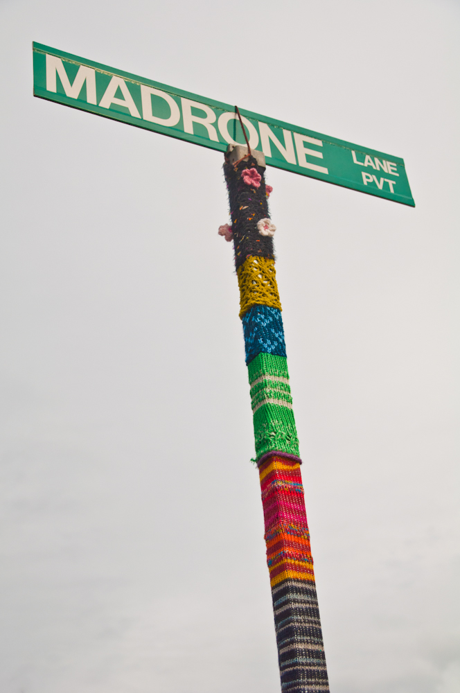 The Hook Brings You Back Yarn Bombing in Bainbridge