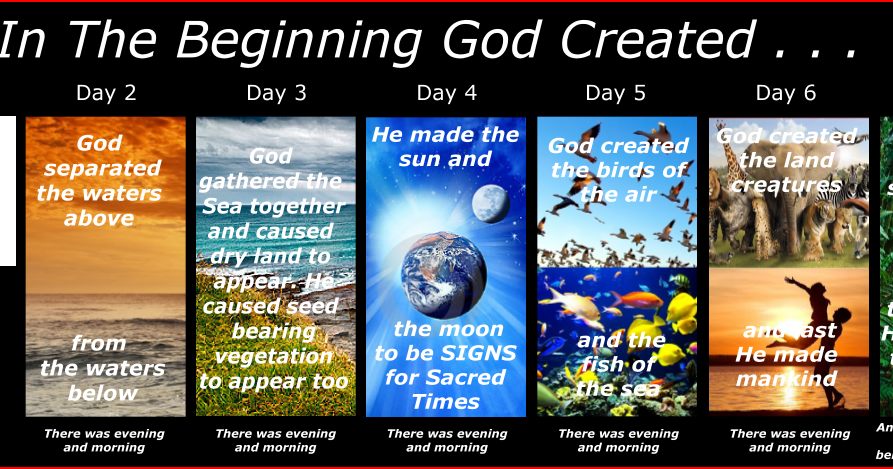 Six Days Of Creation Chart