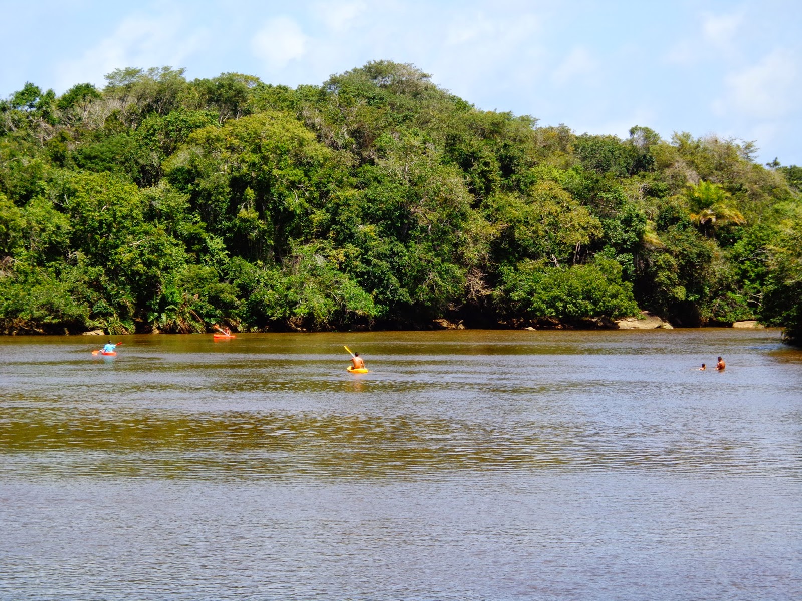 reserva sapiranga praia do forte bahia