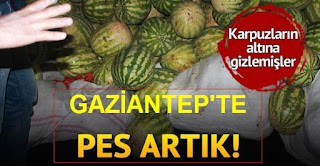 gaziantepte karpuz içine esrar gizlenmiş bulundu