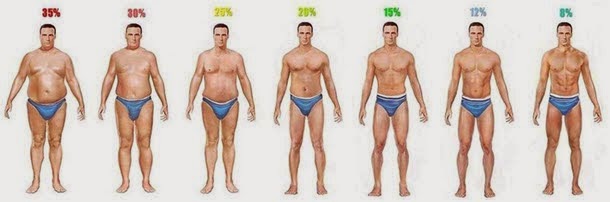 Evaluate Men and Women Body Fat Levels - STRENGTH FIGHTER