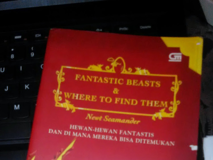 Fantastic Beasts and Where to Find Them (REVIEW)