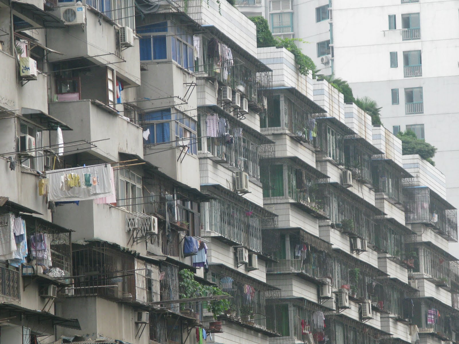 With Your Eyes Open Weekend in Wuhan