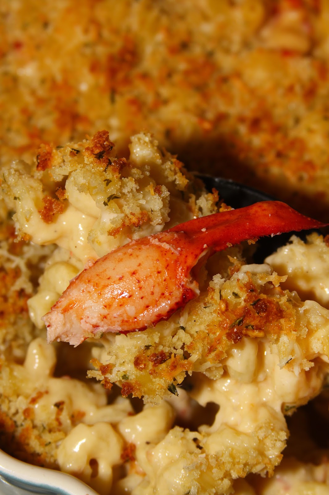 For the Love of Food Lobster Mac and Cheese