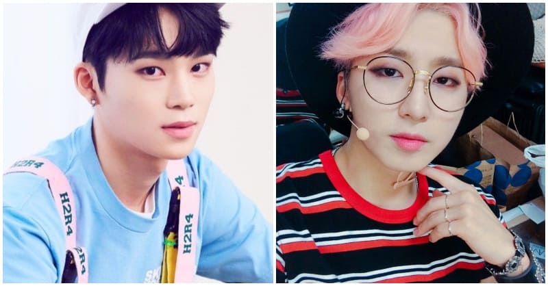 ACE, MASC, Chibin,