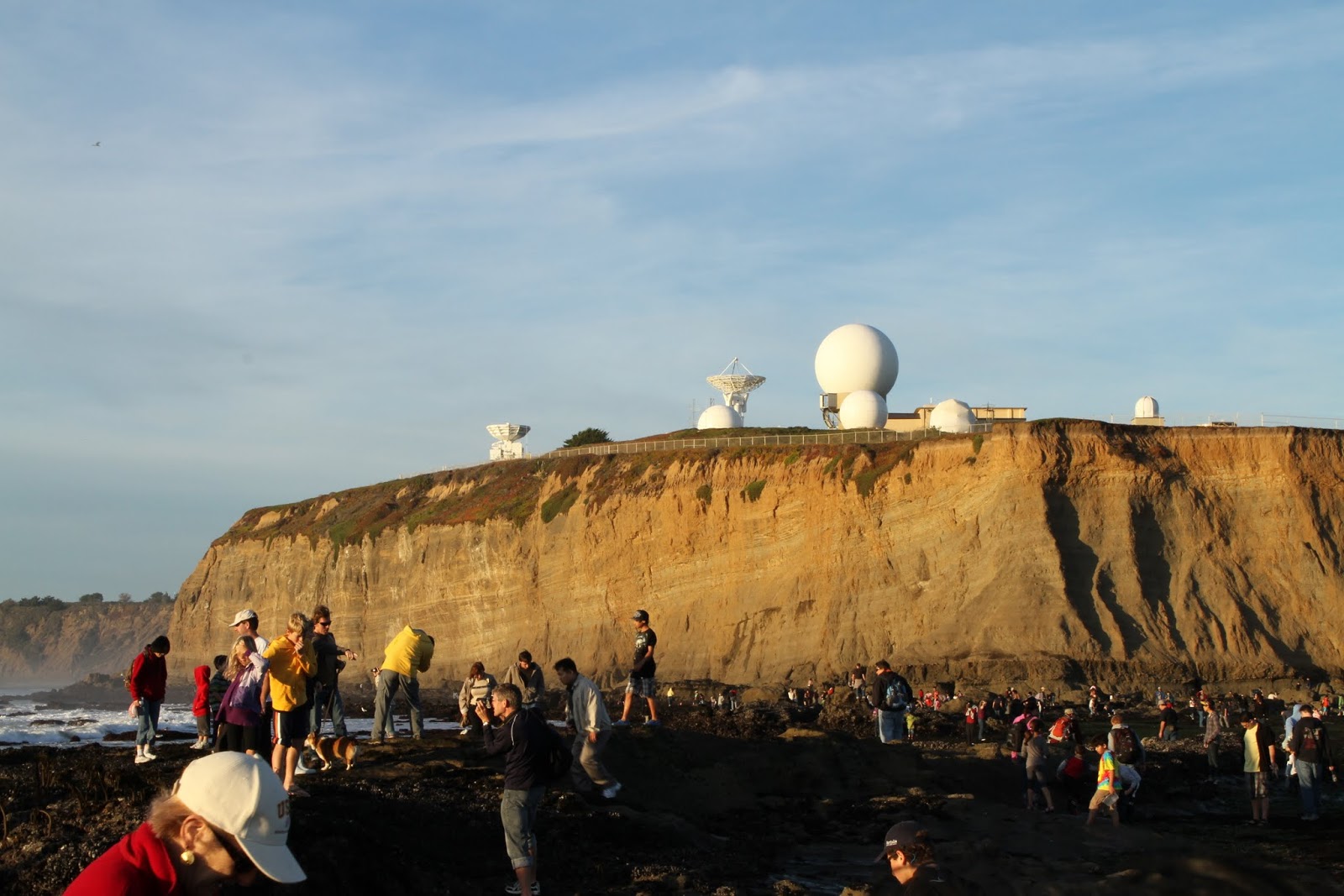 Naturetastic Blog Mega Low Tide at Half Moon Bay (Part 4)