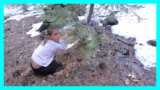 Cutting Our Own Christmas Tree