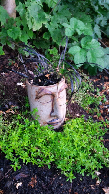Peaceful ceramic / pottery garden planter head out in the garden, planted with black mondo grass.