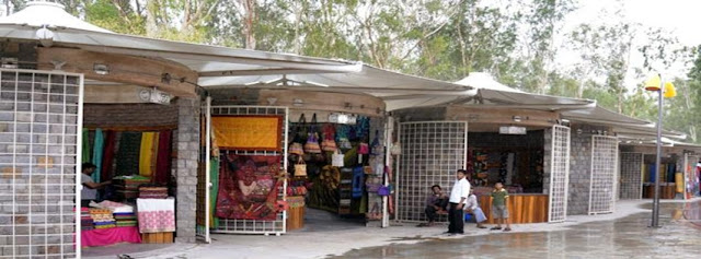 Teej Festival at Dilli Haat, Janakpuri