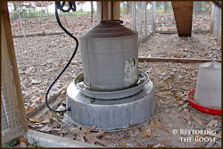 chicken coop winterizing water chickens winter corn grains cracked scratch roost treats give