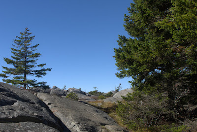 View of the M-M Trail on open rock with a few trees and blue sky