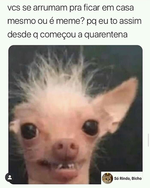 Memes engraçados Memes engraçados